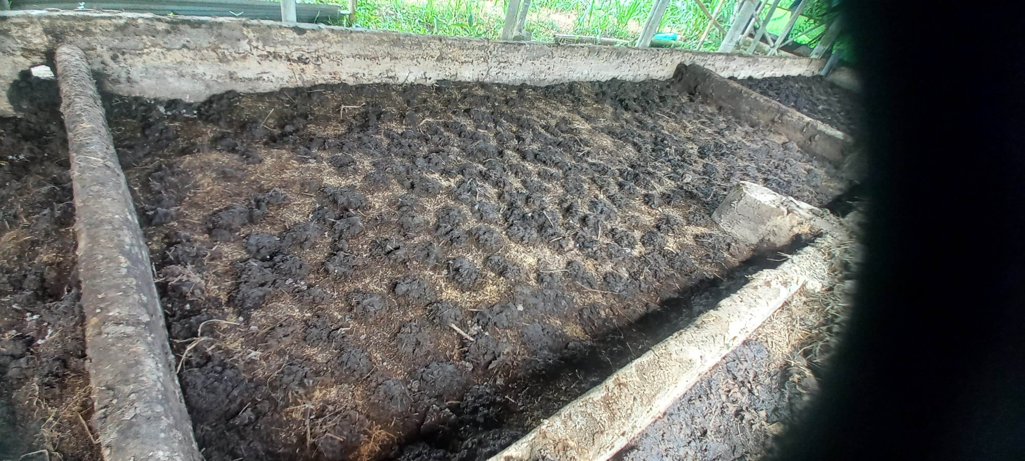 Vermicompost Process