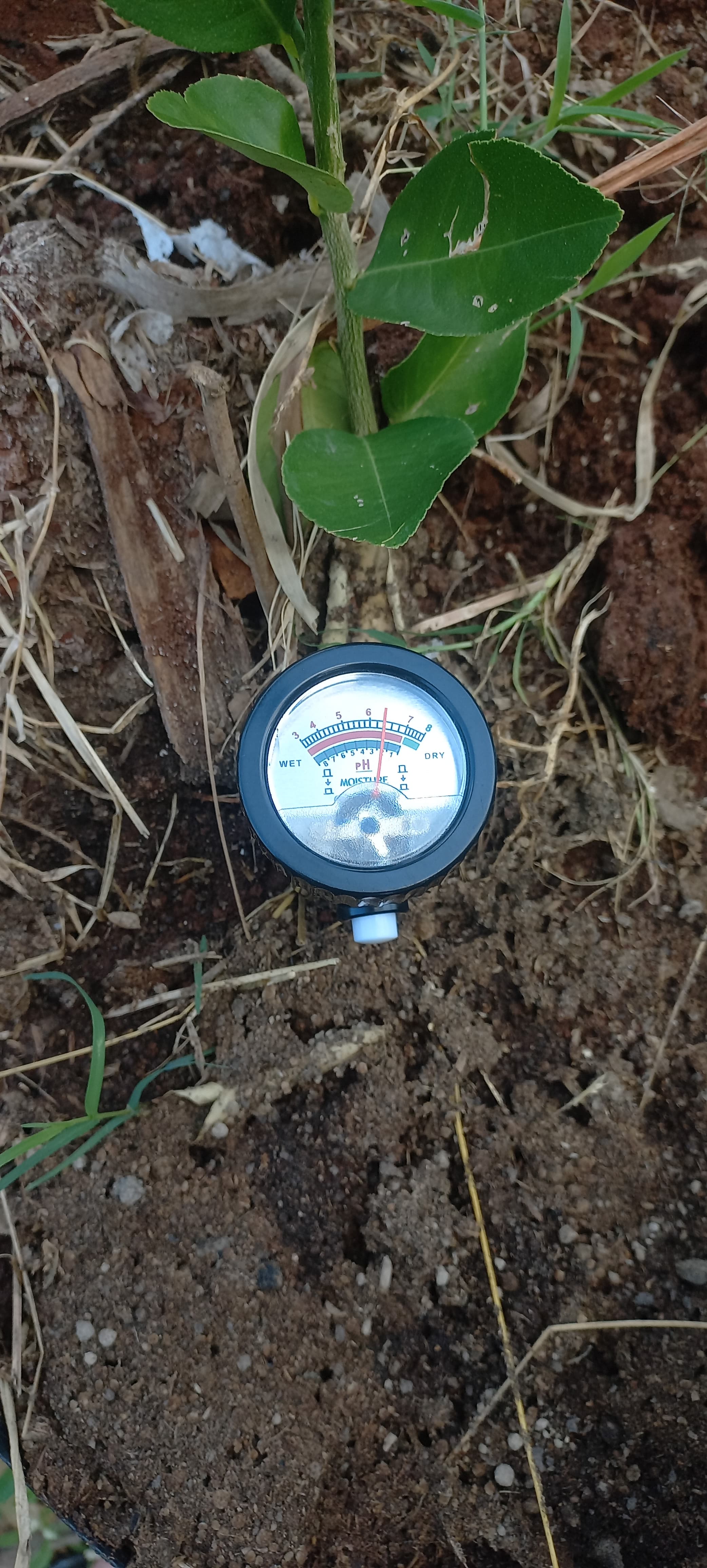 Soil Testing